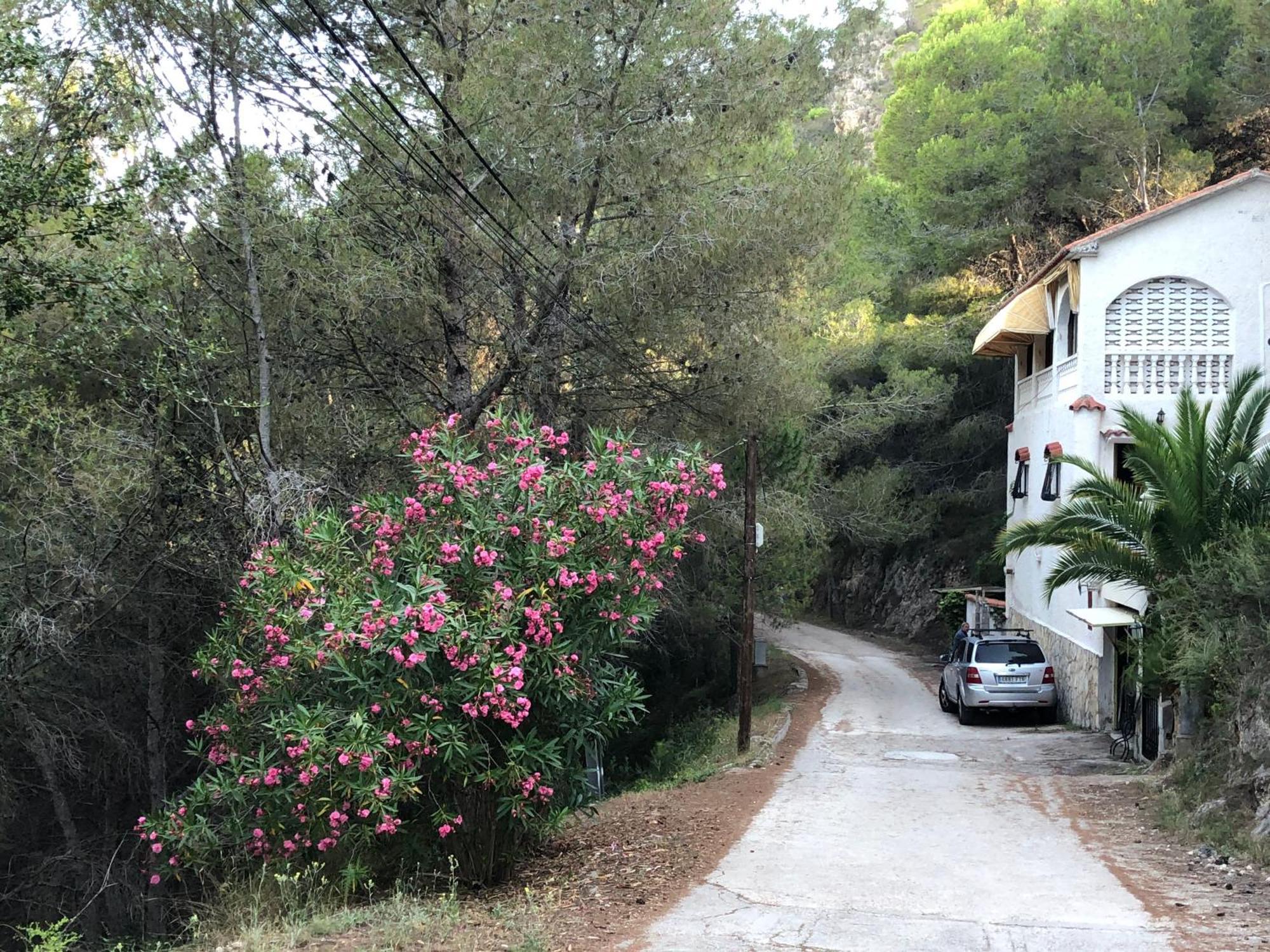 Almisera Villa Almiserat Exterior photo